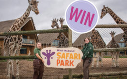 Win family tickets to West Midland Safari Park